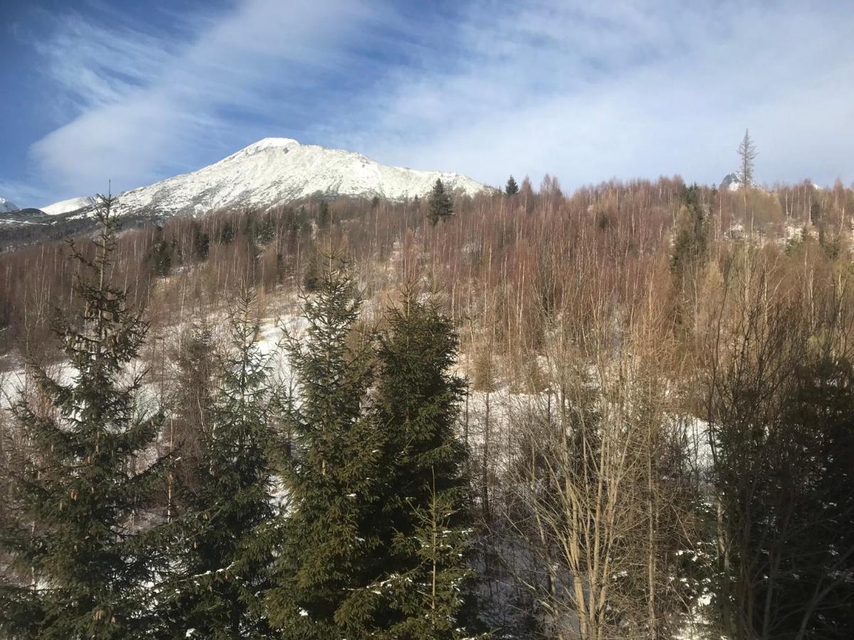 Apartmany Vila Vlasta Vysoké Tatry Eksteriør billede