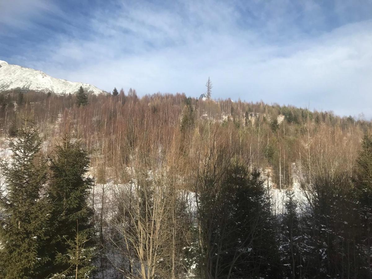 Apartmany Vila Vlasta Vysoké Tatry Eksteriør billede