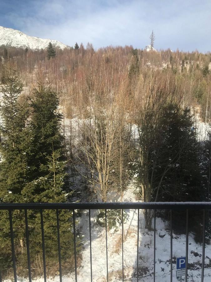Apartmany Vila Vlasta Vysoké Tatry Eksteriør billede