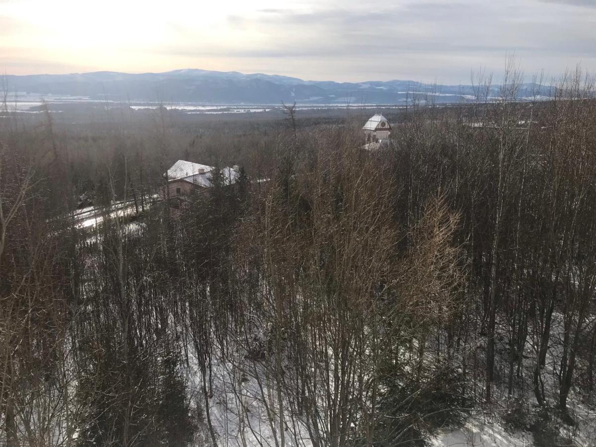 Apartmany Vila Vlasta Vysoké Tatry Eksteriør billede