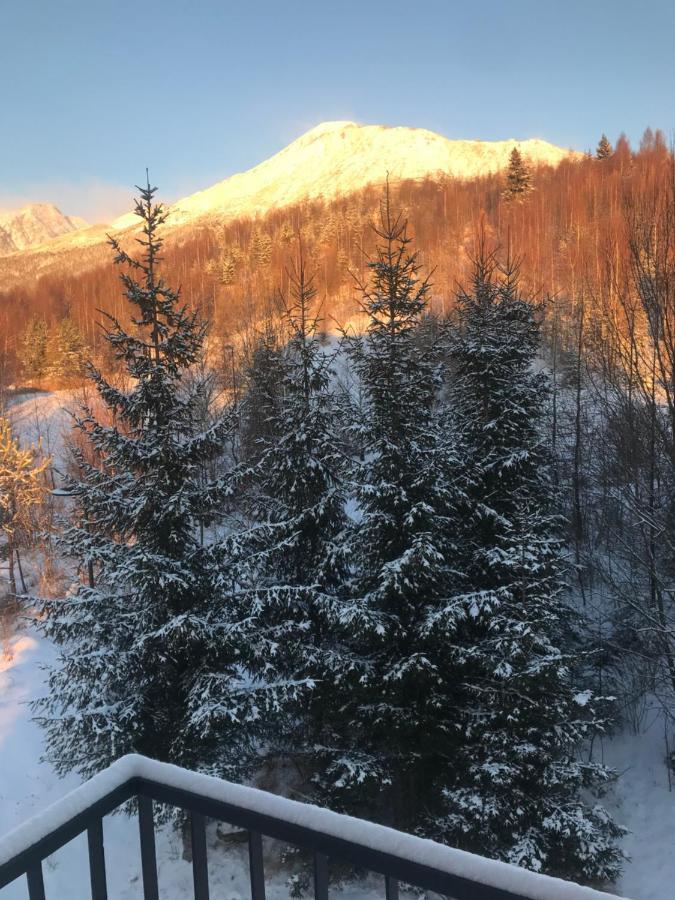 Apartmany Vila Vlasta Vysoké Tatry Eksteriør billede
